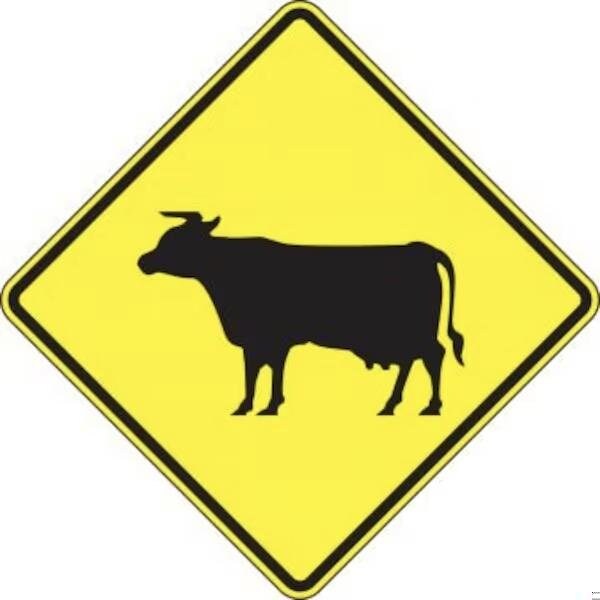 Accuform CROSSING SIGN CATTLE 30 X 30 HIGH FRW718HP FRW718HP - main